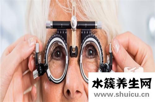 駕照體檢視力要求