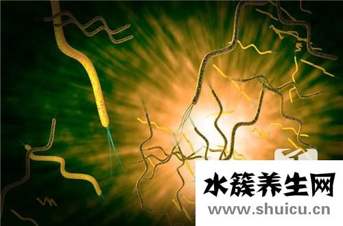 幽門螺旋桿菌傳染途徑