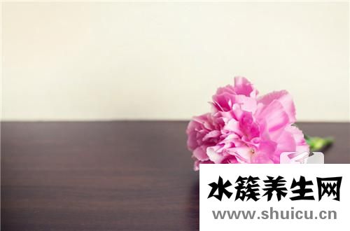 公丁香的功效與作用