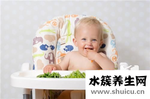 8個月寶寶輔食食譜