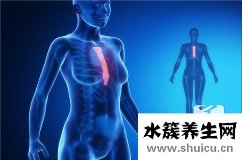 肺栓塞的臨床表現