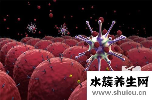 巨細胞病毒感染癥狀