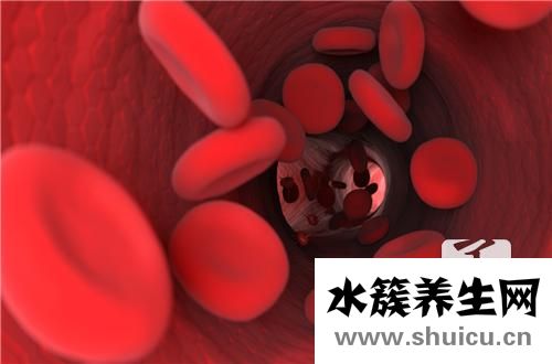 白細胞高是怎么回事