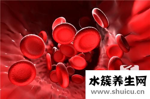 白細胞偏高是什么意思