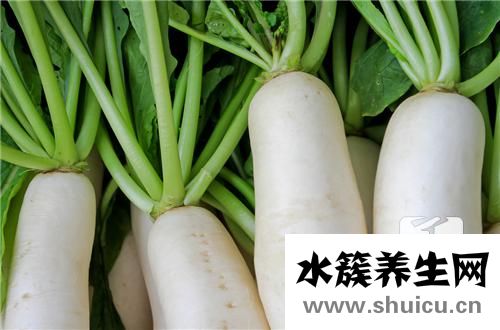 冬吃蘿卜夏吃姜的道理