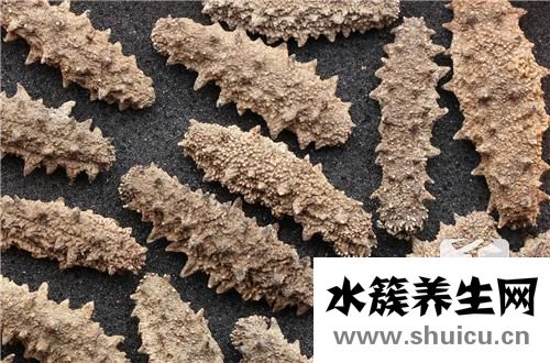 海參怎么做好吃又簡單