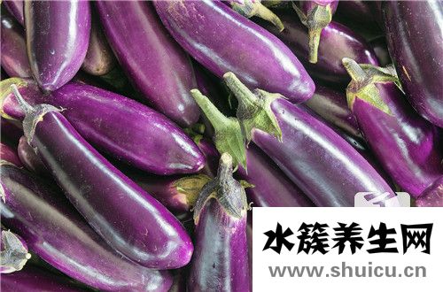 茄子的家常做法大全