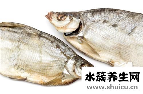 扁魚