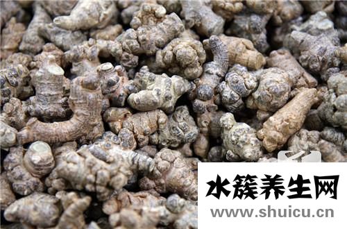 田七與三七有什么區別