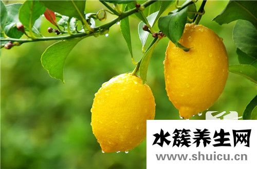 孕婦晚餐吃什么好