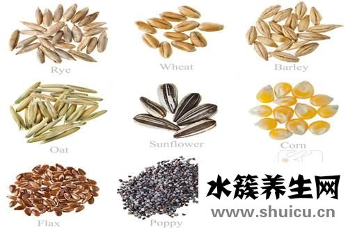 三高人群吃什么