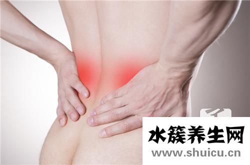 腎虛吃什么補藥