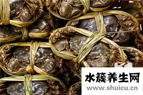 清蒸梭子蟹的做法