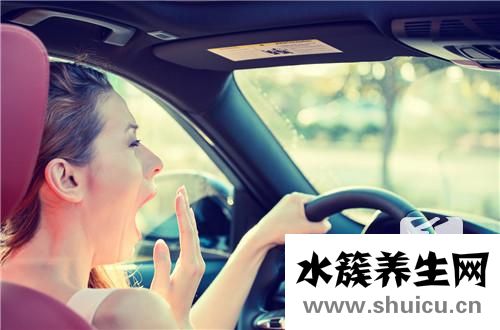 熬夜的人吃什么好