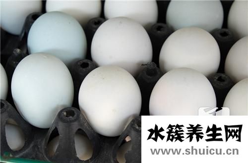 鵝蛋的藥用價值