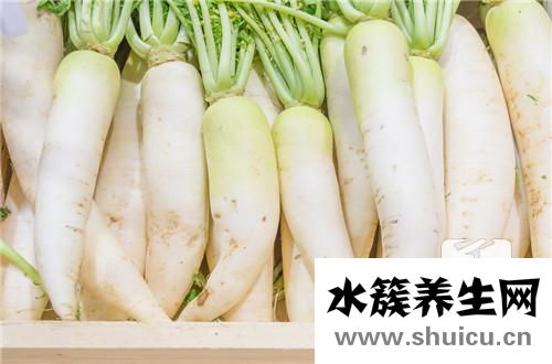 破壁機食譜制作大全