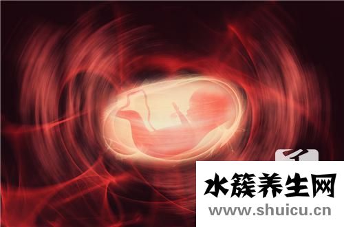 胎盤(pán)的功效