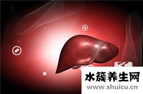 養(yǎng)肝的食物有哪些