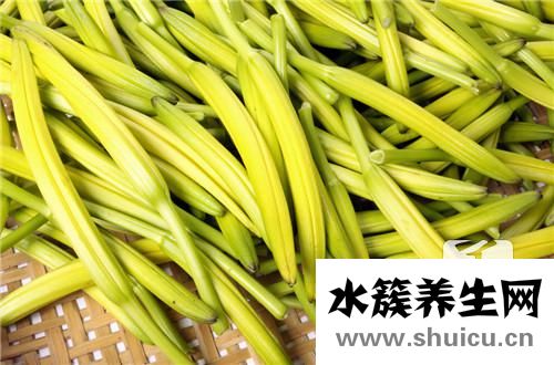 鮮黃花菜的做法