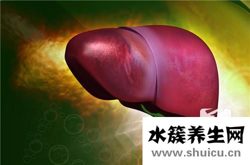 肝功能各項指標