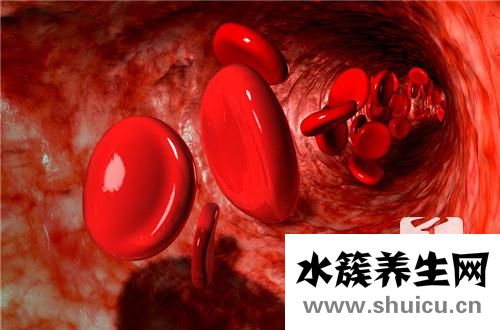 牛肚的營養(yǎng)價值