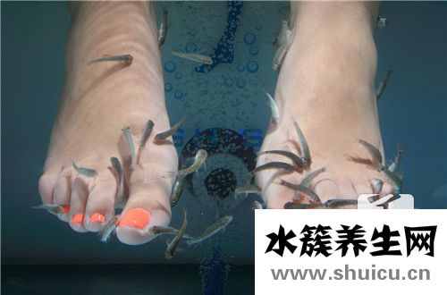 溫泉魚療