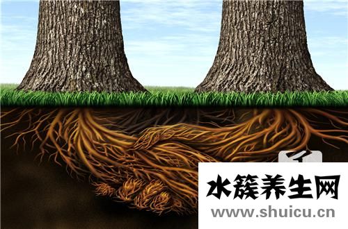 水溶性丙烯酸樹(shù)脂