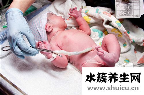 早產(chǎn)兒配方奶粉