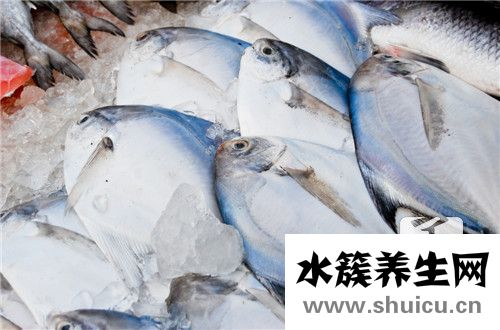 草魚的營養價值