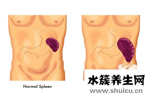 脾胃虛寒吃什么好