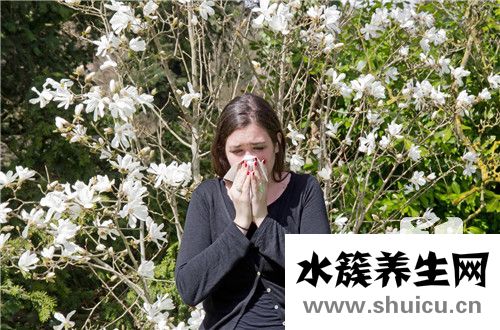 過敏性鼻炎中醫治療