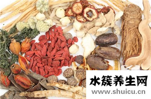 西洋參的功效與作用及食用方法