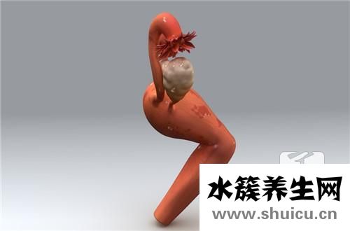 造影手術(shù)