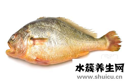 小黃魚怎么燒