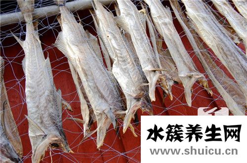 活章魚(yú)