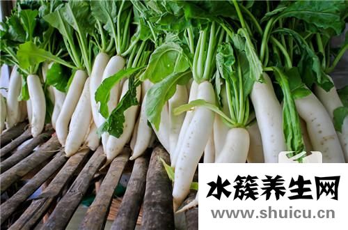 蘿卜泡菜的做法