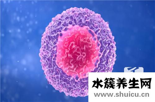 白細胞計數(shù)偏高