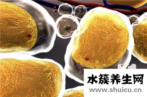 甘油三酯高是怎么回事