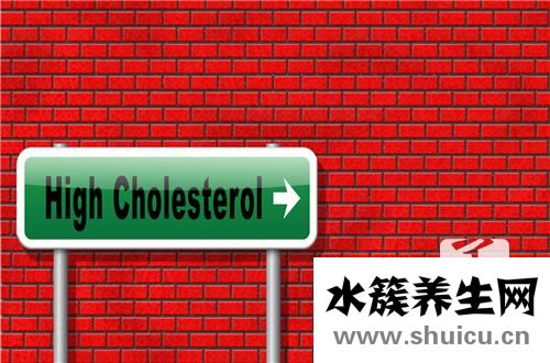 血脂高吃什么藥