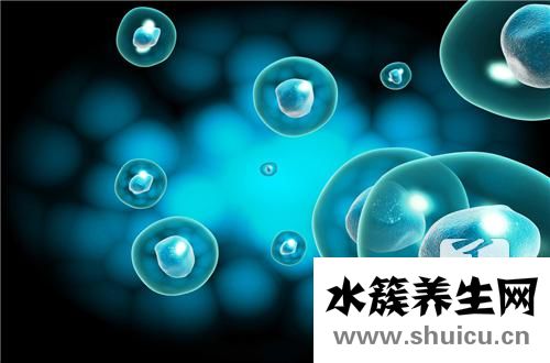 白細(xì)胞計數(shù)