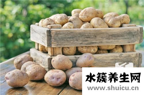 涼拌土豆絲的做法