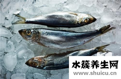鰻魚的做法大全