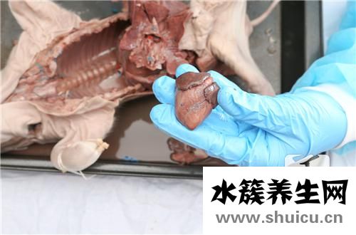 豬皮怎么做好吃