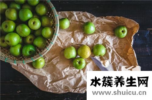 酸棗仁的功效與作用