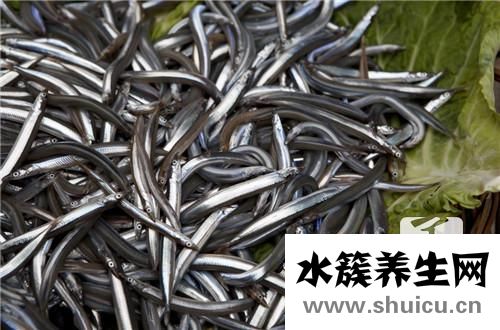 泥鰍需要去內臟嗎