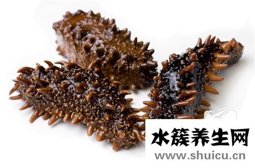 烏參和海參的區(qū)別