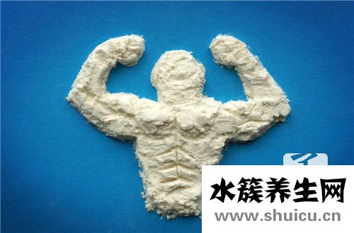 蛋白質(zhì)合成場所