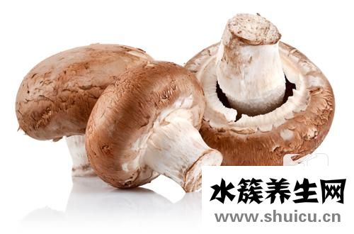 腸粉米漿加什么才爽滑