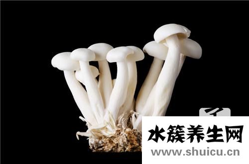 蟹味菇為什么要焯水