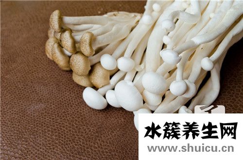 蟹味菇為什么要焯水